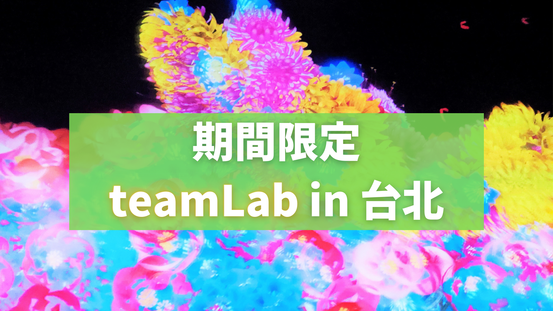 teamLab 台湾