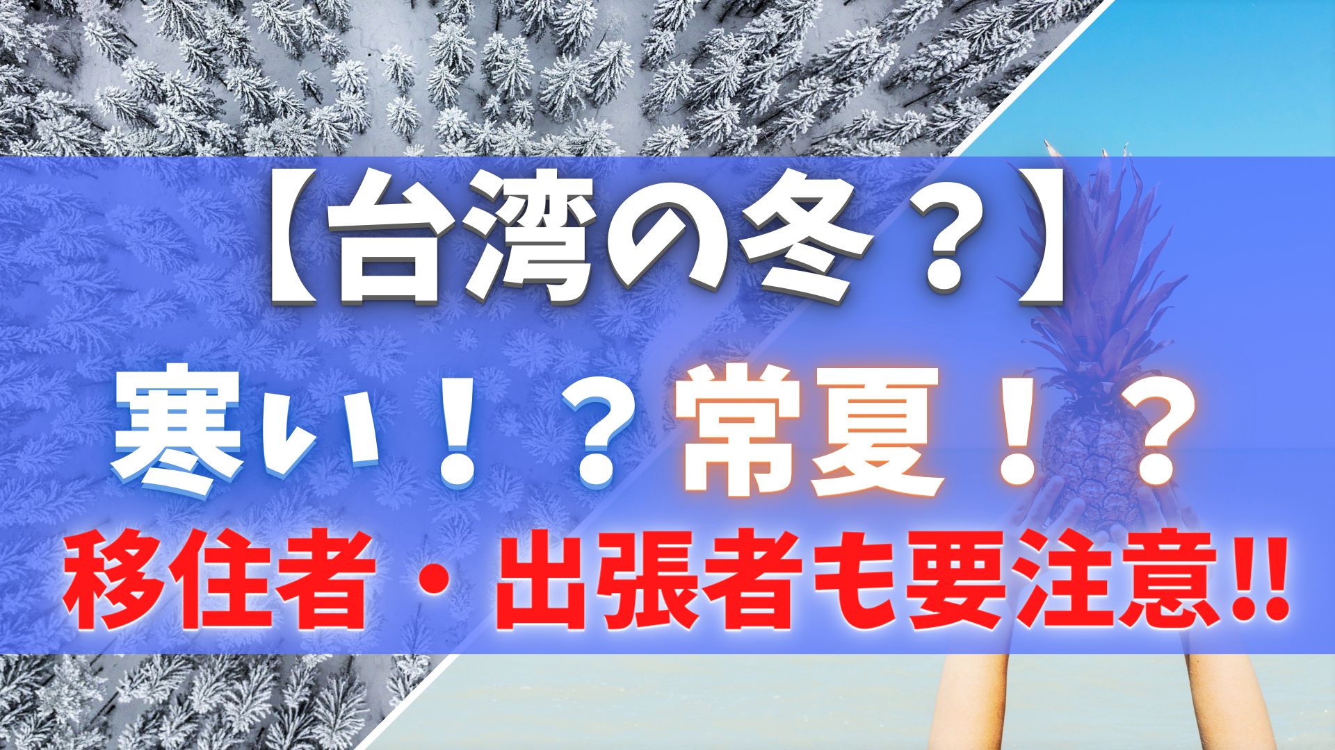 台湾の冬　寒い？常夏？