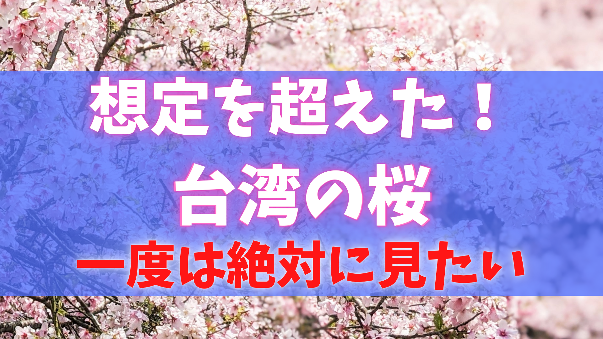 台湾の桜SAKURA-TAIWAN